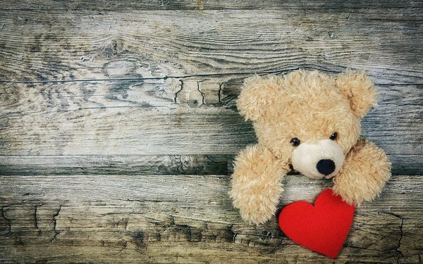 Teddy Bear 3.JPG