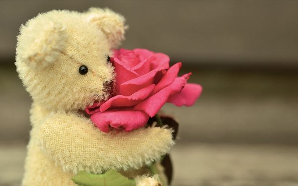 Teddy Bear 4.JPG
