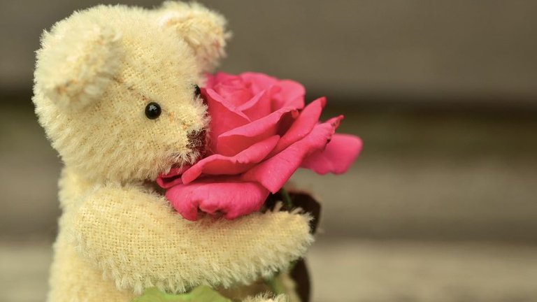 Teddy Bear 4.JPG
