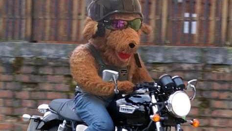 Teddy Bear Run.jpg