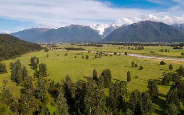 Tourism West Coast - Fox Glacier (17).jpg