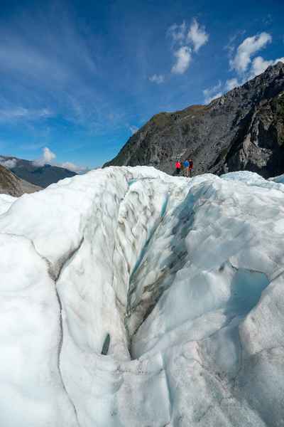 Tourism West Coast - Fox Glacier (23).jpg