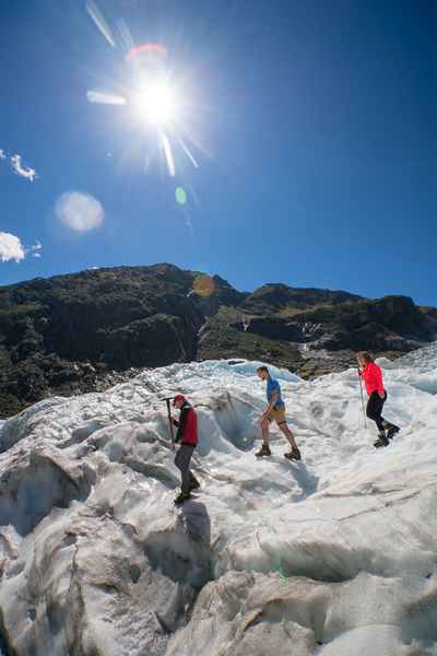 Tourism West Coast - Fox Glacier (28).jpg