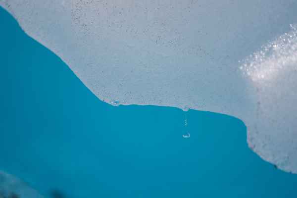 Tourism West Coast - Fox Glacier (34).jpg