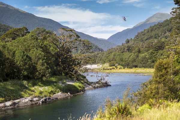 Tourism West Coast - Haast (21).jpg