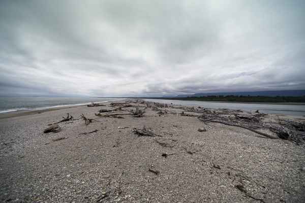Tourism West Coast - Haast (33).jpg