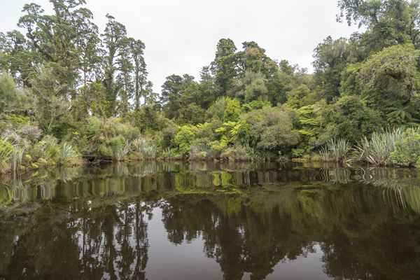 Tourism West Coast - Haast (35).jpg