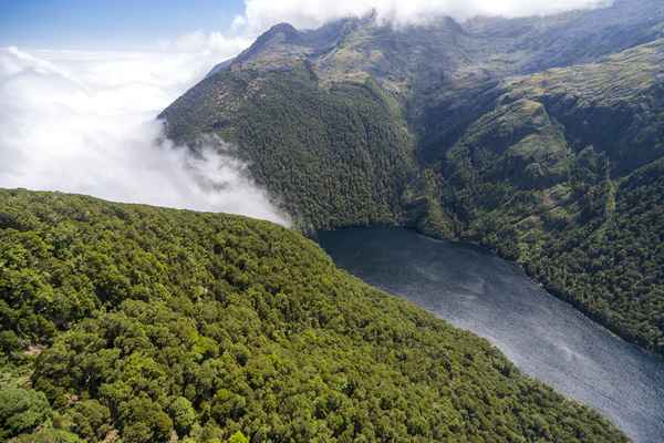 Tourism West Coast - Haast (40).jpg