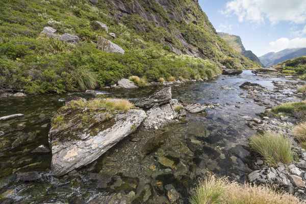 Tourism West Coast - Haast (46).jpg