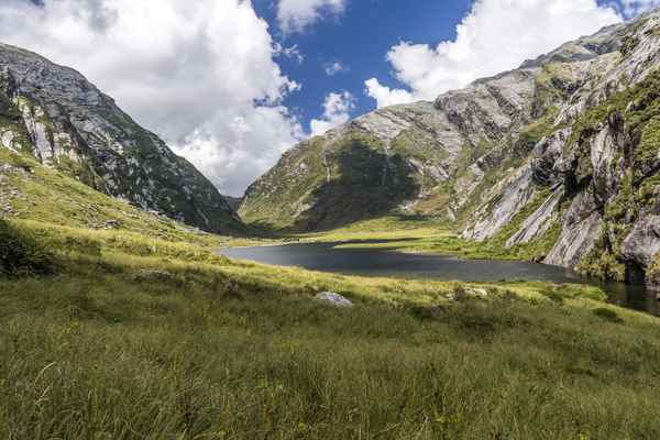 Tourism West Coast - Haast (47).jpg