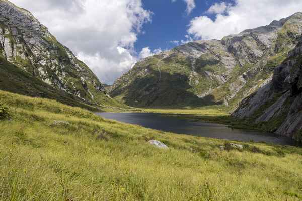 Tourism West Coast - Haast (48).jpg