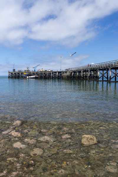 Tourism West Coast - Haast (61).jpg
