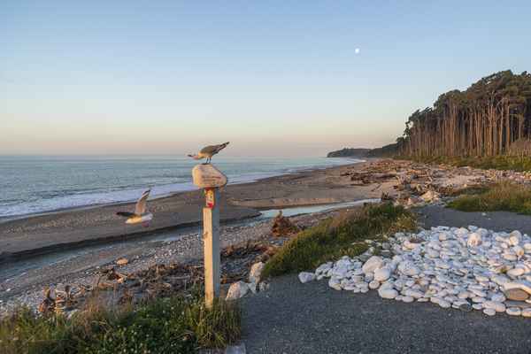 Tourism West Coast - Haast (76).jpg