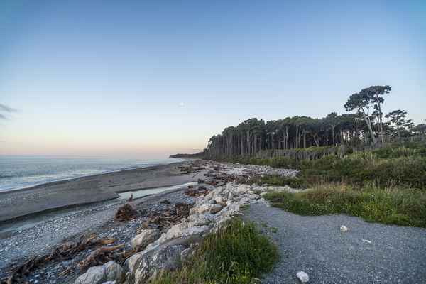 Tourism West Coast - Haast (78).jpg