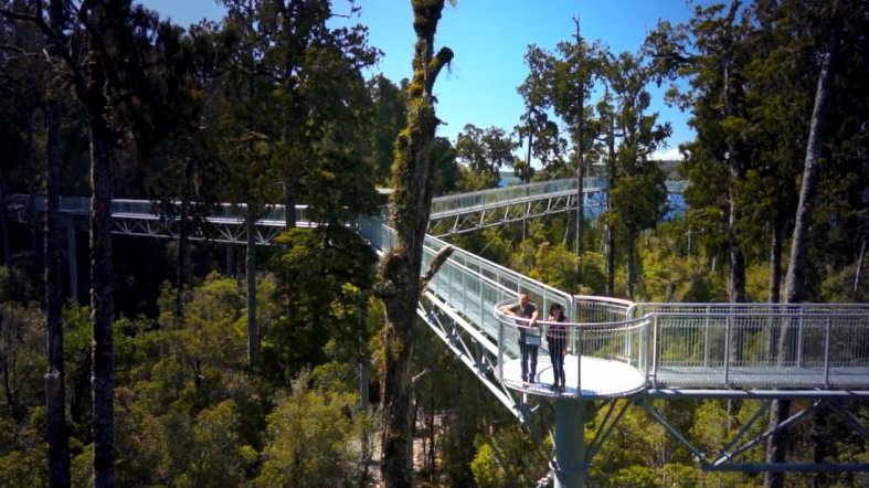 West Coast Treetop Walk & Cafe