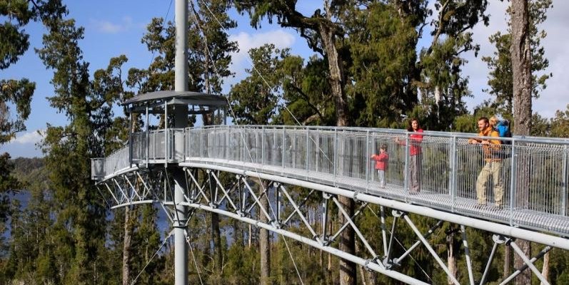 West Coast Treetop Walk & Cafe
