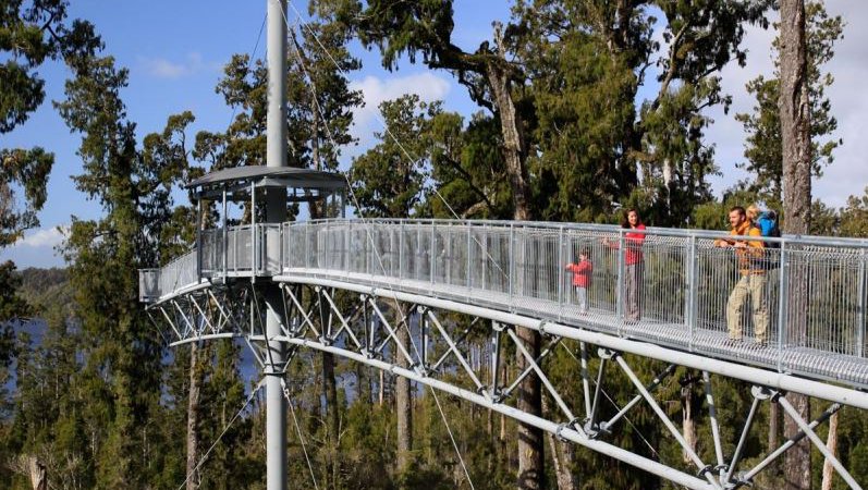 West Coast Treetop Walk & Cafe