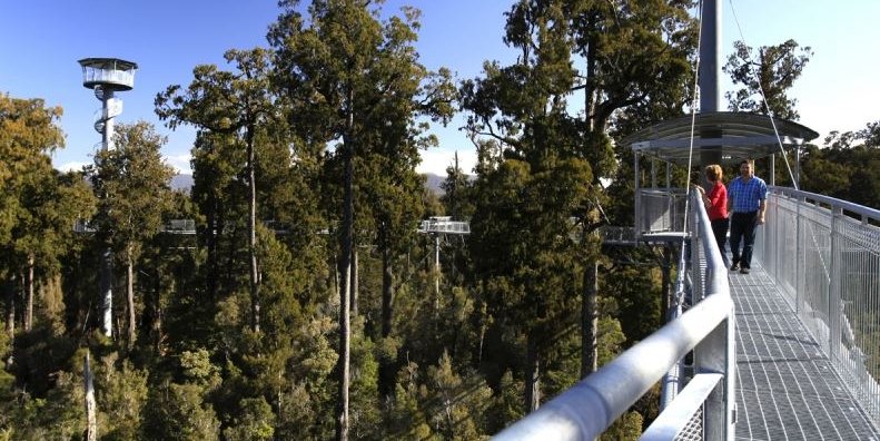 West Coast Treetop Walk & Cafe