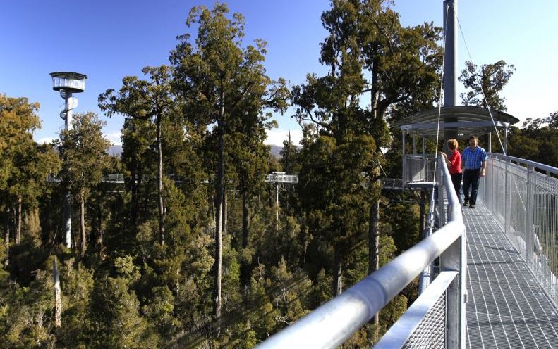 West Coast Treetop Walk & Cafe