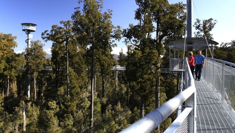 West Coast Treetop Walk & Cafe
