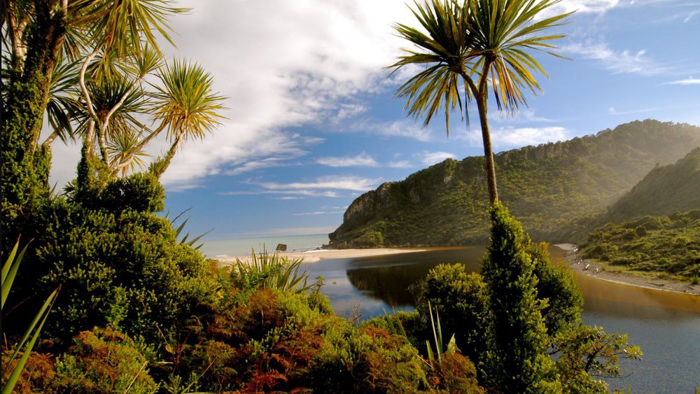 Heaphy
