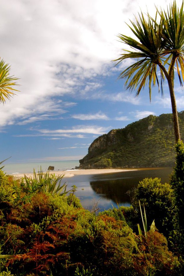 Heaphy