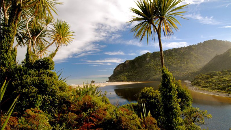 Heaphy
