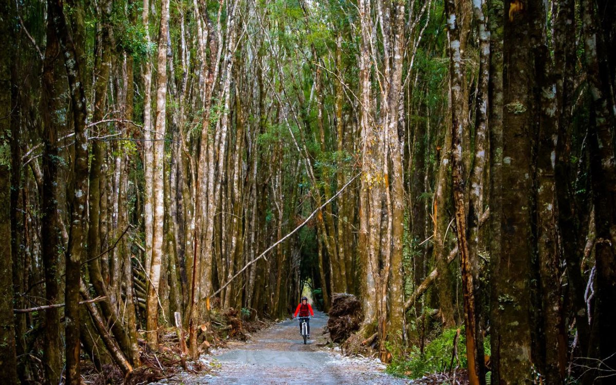 West Coast Wilderness Cycle Trail