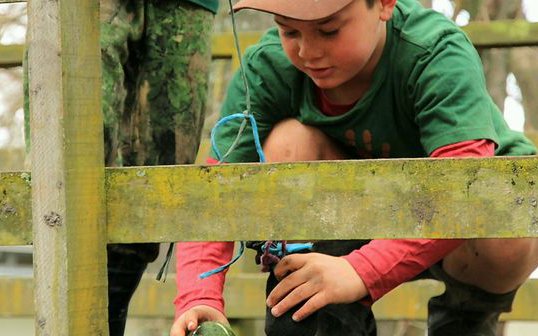 Woodland Tinkering.jpg