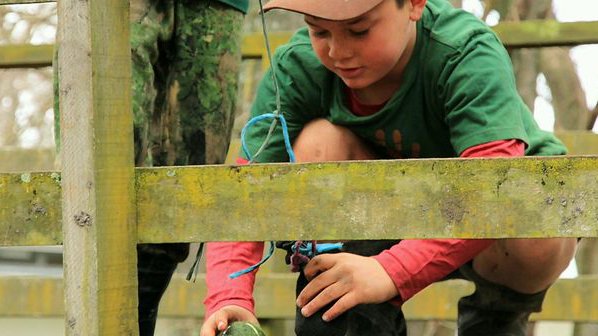 Woodland Tinkering.jpg