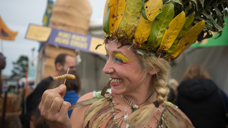 Wildfoods Festival event Hokitika 2016