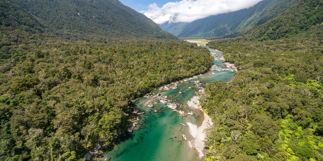 Haast World Heritage Area - 1054