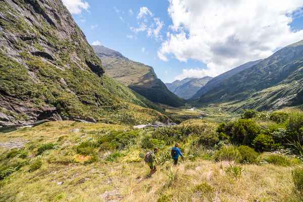 Haast World Heritage Area