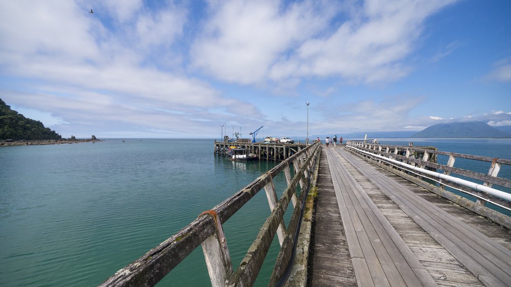 Jackson's Bay, Haast -1477