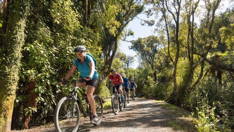 bike Hire & Shuttle.jpg