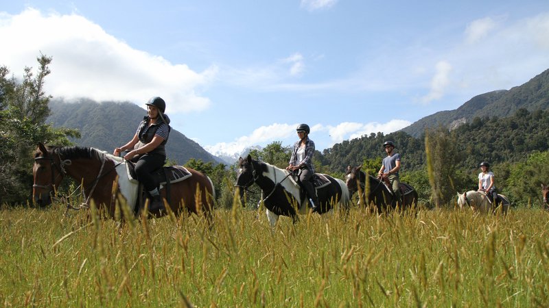 experience-fox-glacier-horse-riding-IMG_4284.jpg