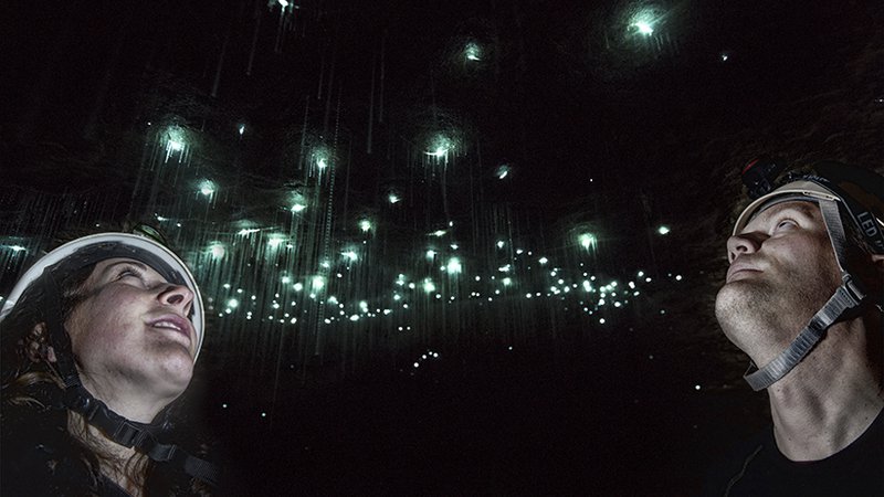 Gloworm Cave tour