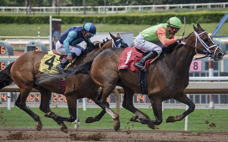 Horse race