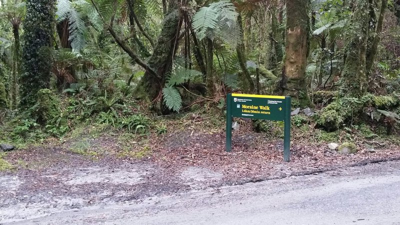 moraine-walk.jpg
