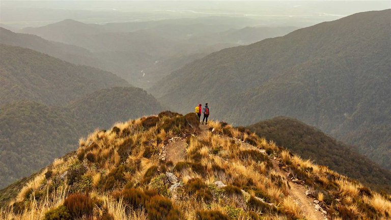 paparoa-track.jpg