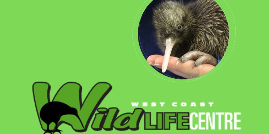 wildkiwi.JPG