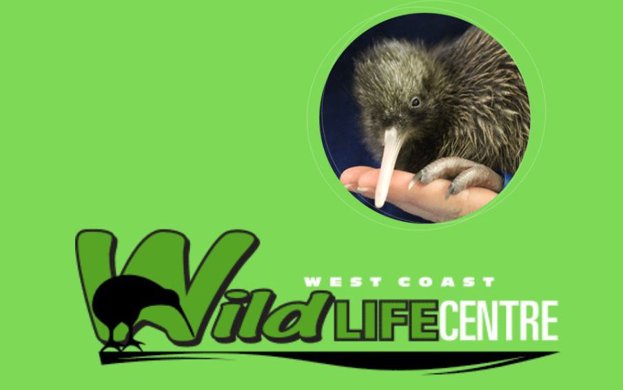 wildkiwi.JPG